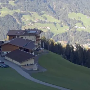 Tannenalm miniatyrbilde