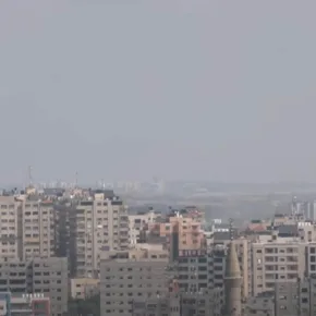 Gaza thumbnail