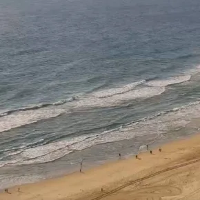 Surfers Paradise-stranden miniatyrbilde