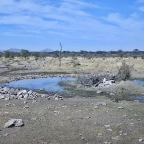 صورة مصغرة محمية كامباكو للحياة البرية