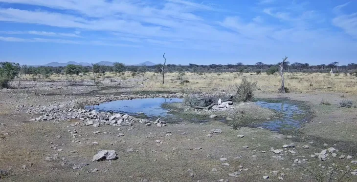 Kambaku Wildlife Reserve thumbnail
