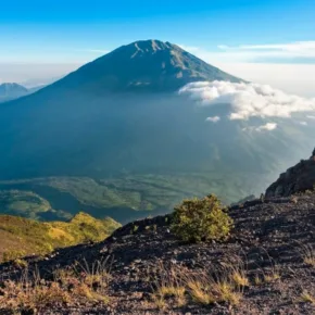 ムラピ火山 サムネイル