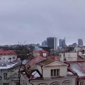 Tak på hus i Tallinn miniatyrbilde