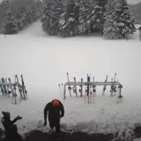 Woods Valley Ski thumbnail