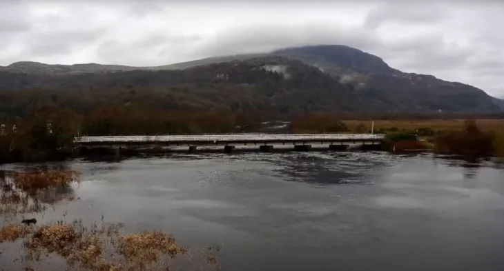 Bywyd Gwyllt Glaslyn 野生生物 サムネイル