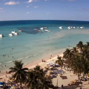 Isla Mujeres vignette