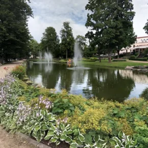 Maya Park thumbnail