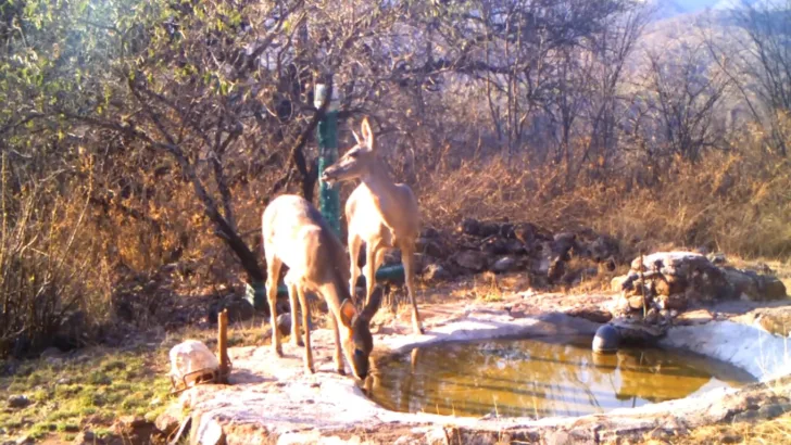 Sierra Gorda, Rancho la Onza thumbnail