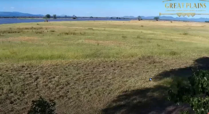 Tembo Plains Camp thumbnail
