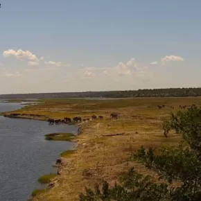 Taman Nasional Chobe thumbnail