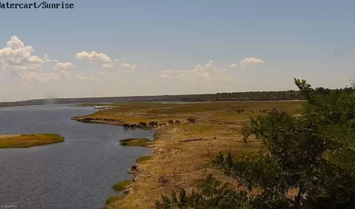 Parque Nacional de Chobe miniatura