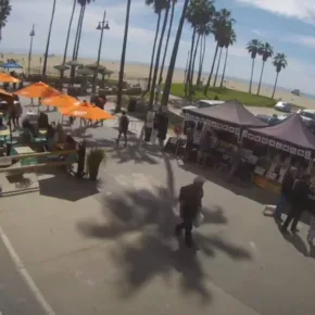 Venice Beach miniatyrbilde