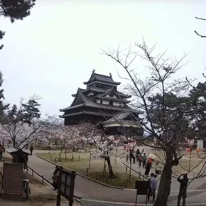 Château de Matsue-jō vignette