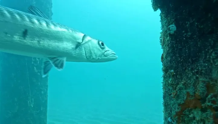 Pompano Beach Underwater miniatyrbilde