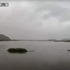 米子水鳥公園 サムネイル