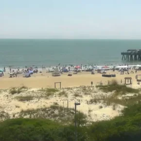 Savannah, hotel en Tybee Island miniatura