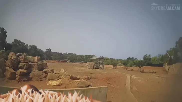 ラバト国立動物園 サムネイル