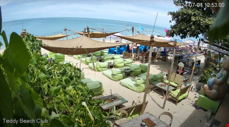 Teddy Beach Club miniatyrbilde