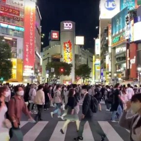 Walks live, Tokyo thumbnail