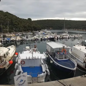 Krnicki Porat miniatura