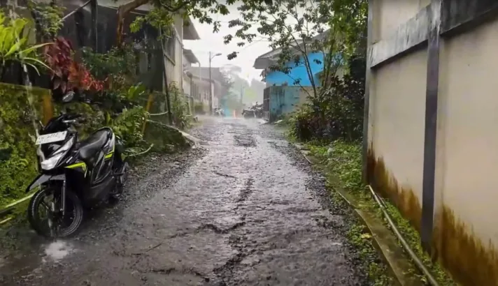 Walks live, Purbalingga thumbnail