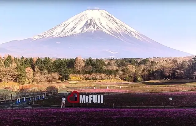 Fuji Motosuko Resort miniatura