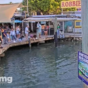 Robbies of Islamorada miniatyrbilde