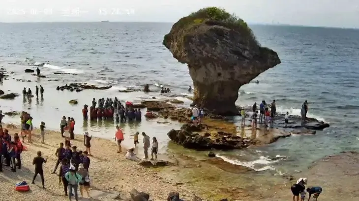 Vase Rock vignette