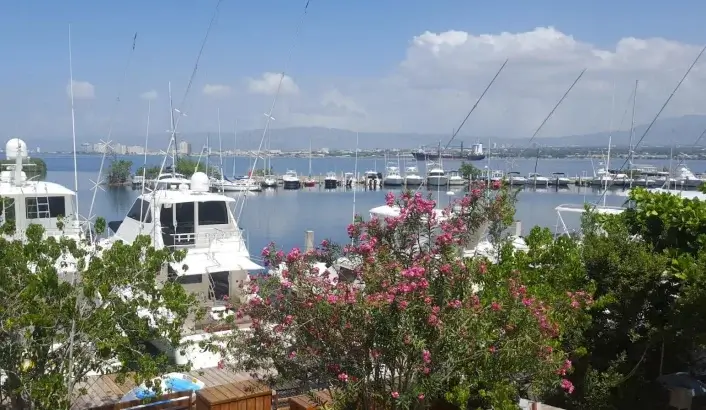 Kingston Harbour thumbnail