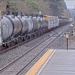 Олимпия-Лейси картинка