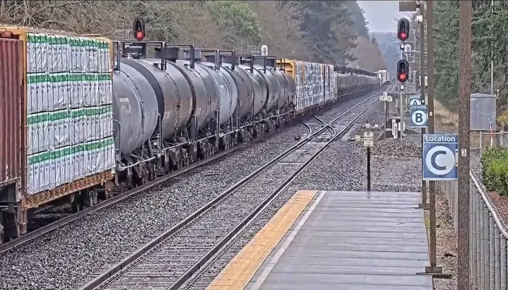 Олимпия-Лейси картинка