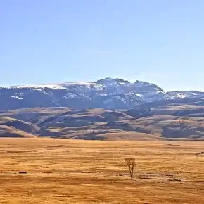 National Elk Refuge thumbnail