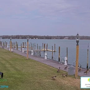 Conscience Point Marina, Southampton thumbnail