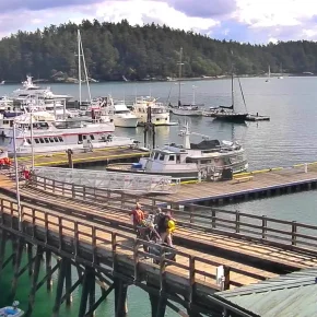 Marina de Friday Harbor miniatura