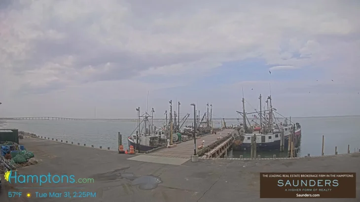 Shinnecock Fishing Dock thumbnail