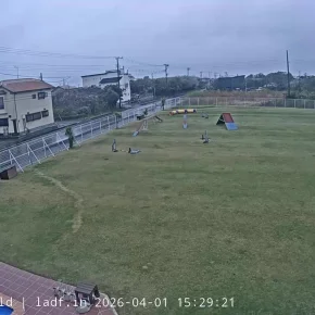 Dog Sports Field, Motosuka thumbnail