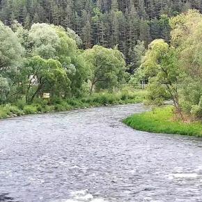 Dunajec Rafting thumbnail